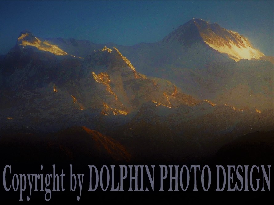All Pictures in this WebSite are strictly COPYRIGHTED by DOLPHIN PHOTO DESIGN ... Harry Heidelberger ... Switzerland / www.modelartdesign.ch